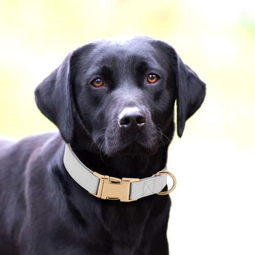 Soft PU Leather Dog Collar (M: Fit 13-19" Neck(20-55 lbs) / Gray)