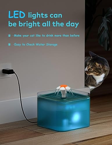 Cat Water Fountain for Cats Indoor