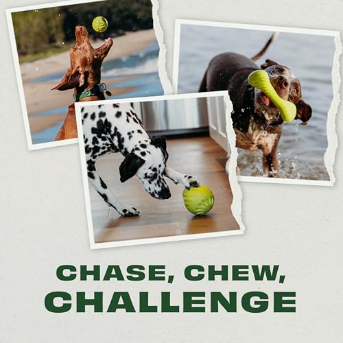 Ball Bone Medium (3 Pack)
