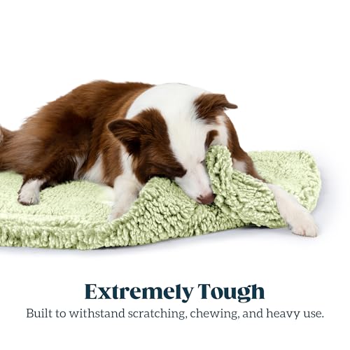 Stoutwool Indestructible Dog Bed (47.0"L x 29.0"W x 2"Th / Gleam)