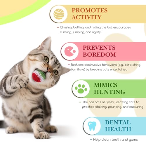 12 Pack Cat Toy Balls