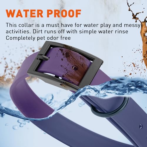 Biothane Waterproof Dog Collar Strong Coated Nylon Webbing with Black Hardware Odor (W1" x L22"-25" / Violet Purple)