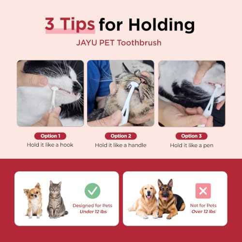 Dental Care Brush (Edge Bristles / 1 Count (Pack of 3))