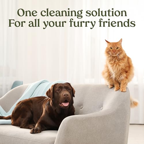 PAWFUME Stain & Pet Urine Odor Eliminator (4 Fl Oz (Pack of 1))