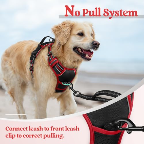 Dog Harness No Pull for Small Dogs with 2 Leash Clips (Small / Black & Red)