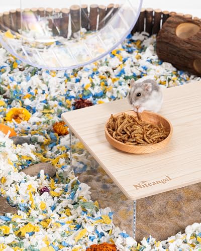 Small Animal Snack & Treats