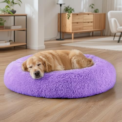 Dog Beds Large Sized Dog and Cats (Purple / 32.0"L x 32.0"W x 8.0"Th)