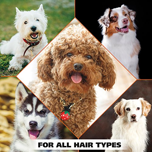 USA 4-in-1 Calming Dog Shampoo with Lavender Chamomile Scent – Cleans, Conditions, Detangles, & Moisturizes - Pet Friendly Formula - 24 Oz - Model 820000A (24 Ounce)