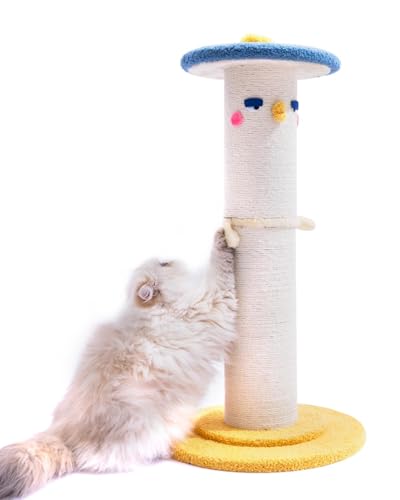 Cute Cat Scratching Post