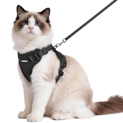 Cat Harness and Leash Set (M / Black)