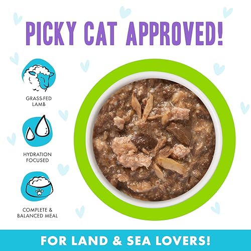 B.F.F. OMG Best Feline Friend Oh My Gravy! (2.8 Ounce (Pack of 12))