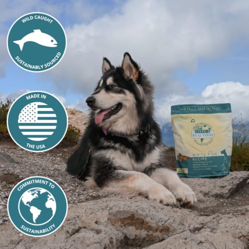 Freeze Dried Raw Dog Food Nuggets