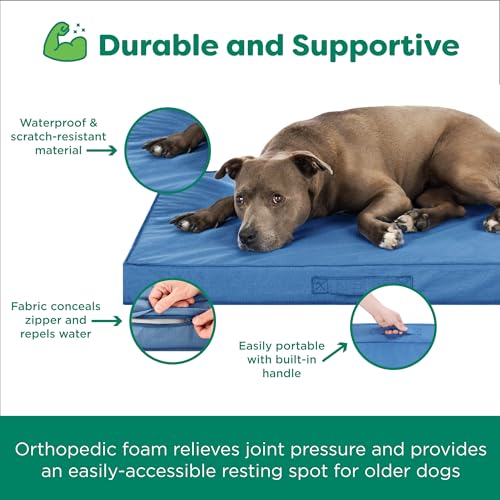 Cooling Dog Bed (Jumbo / Blue)