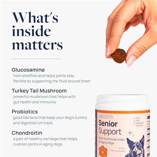 Smart Vitality Senior Support Supplement (60 ct / Senior Support)