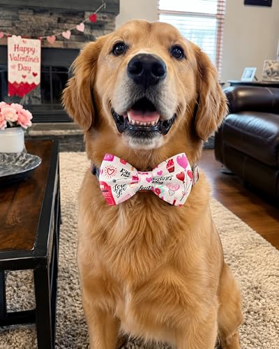 10 Pack Holiday Dog Bowties for Large Dogs Sliding on Collar (M/L)