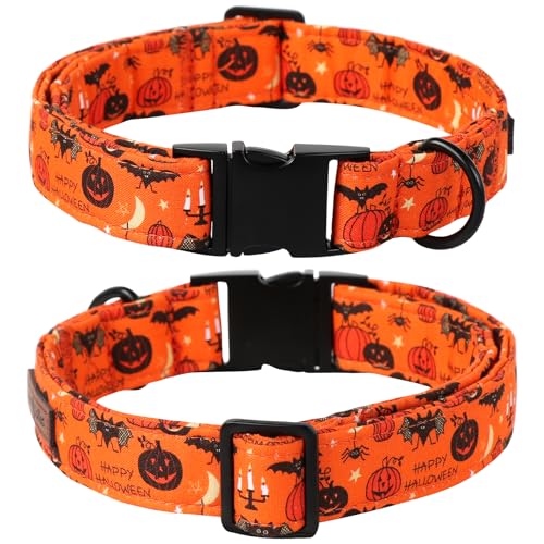 Fall Halloween Dog Collar (Medium (Pack of 1) / A:Hallows eve)