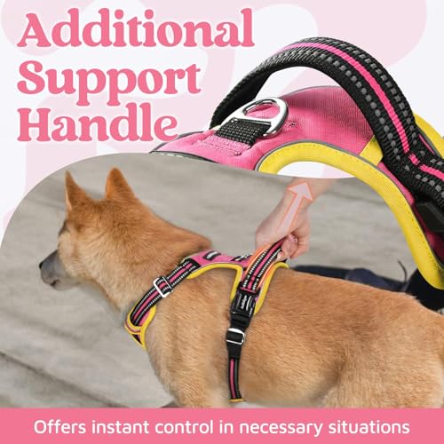Dog Harness for Large (Pink & Yellow / X-Large)