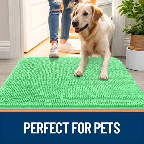 Dog Door Mat for Muddy Paws 24x16 (Mint Green / 24" X 16")