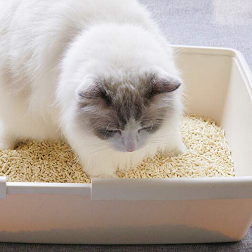 Natural Soy Litter