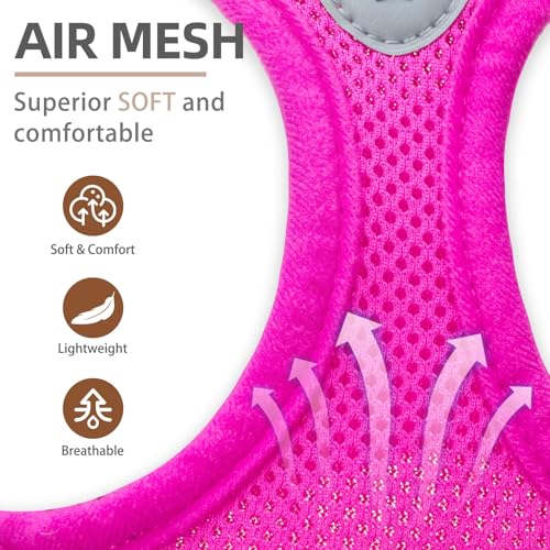 Dog Harness Collar and Leash Set No Pull for Small Medium Sized (Solid DeepPink / XL (CHEST 20"-22"))