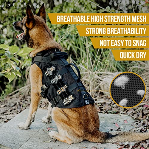 No Pull Dog Harness for Small Dog (Black / S)