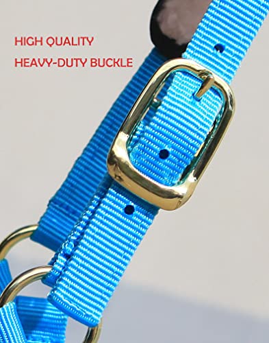 Lunge Cavesson with Fleece Lined Nose Band and Crown