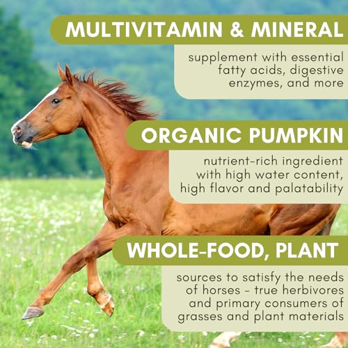 Horse Supplement for Total Body Health