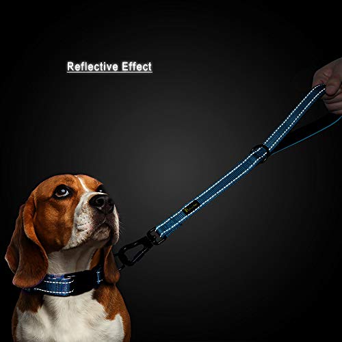 Short Training Dog Leash with Padded Handle for Medium Large Big Dogs (Blue / 18 Inch (Pack of 1))