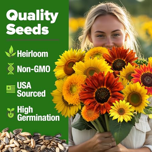 Sunflower Mix Seeds