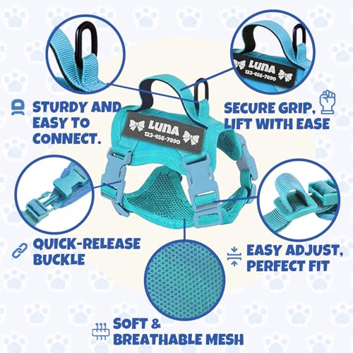 Tactical Cat Harness with Personalized Name Patch Escape Proof 7 (Blue)