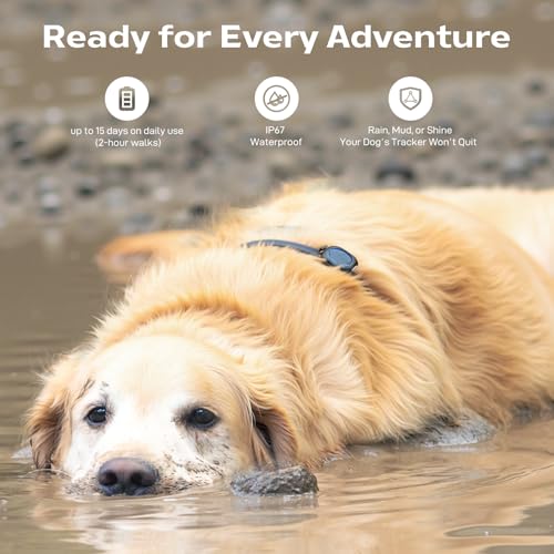 GPS Dog Tracker (Tracker2-Black)