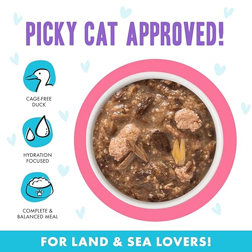 B.F.F. OMG Best Feline Friend Oh My Gravy! (2.8 Ounce (Pack of 12))