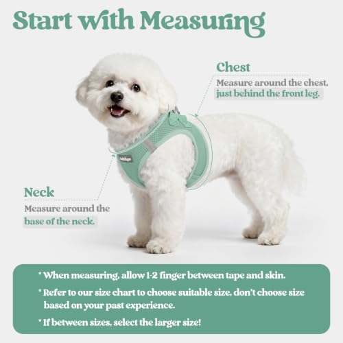 Dog Harness Medium Sized and Leash Set (Moss Green / M (chest: 16 - 18.5"))