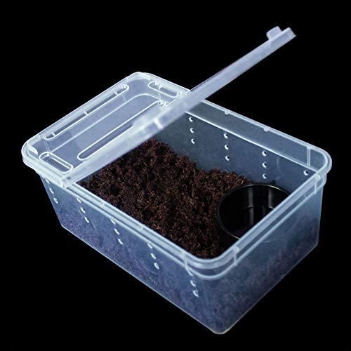 Portable Reptile Terrarium Habitat for Mini Pet Houses Breathable Holes Stackable Container (1PCS-Clear-XS)