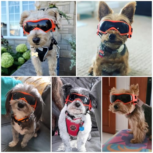 XS Dog Goggles for Extra Small Breed UV (X-Small / Orange)
