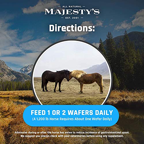 KALM+ Wafers Horse (120 Count (4 Month Supply))