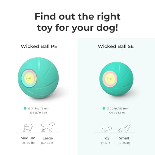 Interactive Dog Toys (Medium)