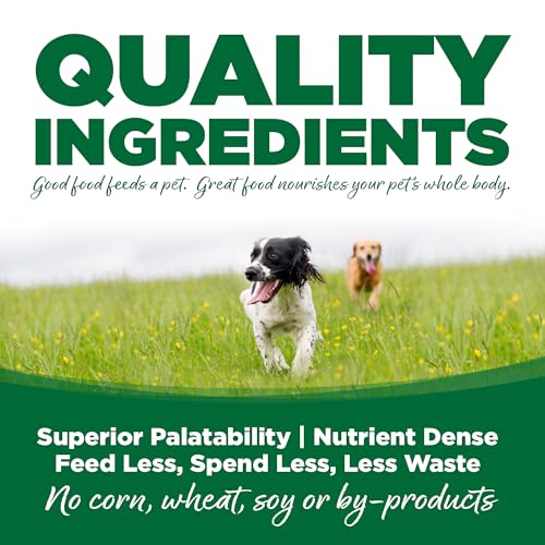 Dry Dog Food Turkey and Rice (4 Pound (Pack of 1))