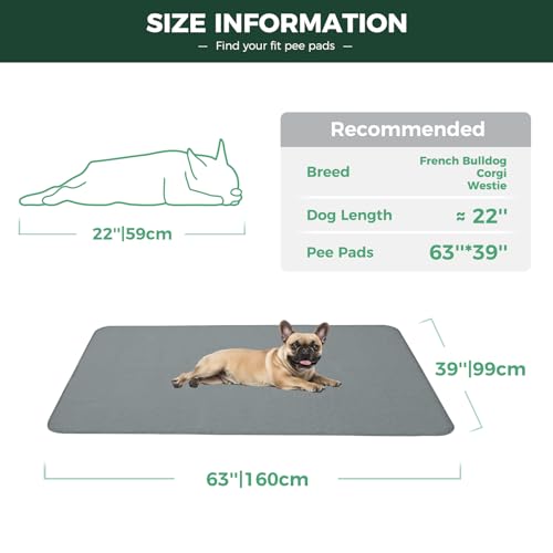 Washable Pee Pads for Dogs (Gray / 39" x 63" (1 Pack))