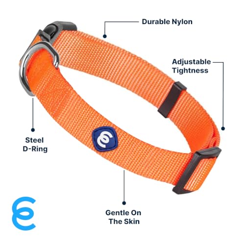 Essentials Florence Orange Adjustable Nylon Dog Collar for X (X-Small / Florence Orange)