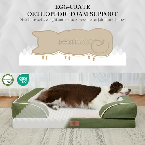 Orthopedic Dog Bed for Medium Size Dog with Bolster (30.0"L x 20.0"W x 7.0"Th / Light Green)