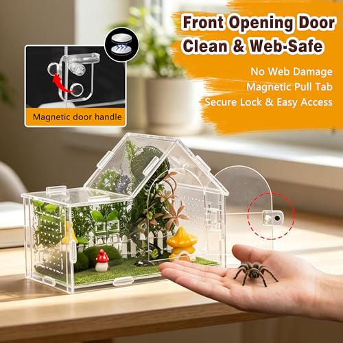 Acrylic Jumping Spider Enclosure Kit 19PCS with Decor (Green - Gothic style)