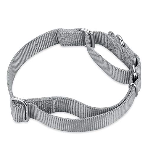 Martingale Dog Collars for Medium Dogs (Medium / Sleet Gray)