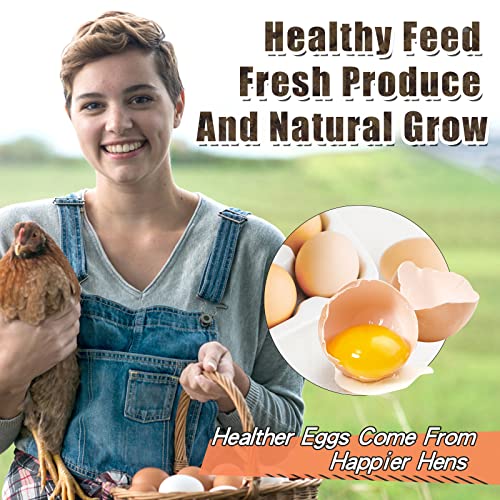 20lb Dried Black Soldier Fly Larvae for Chickens Hen High Protein Duck Food (20 Pound (Pack of 1))