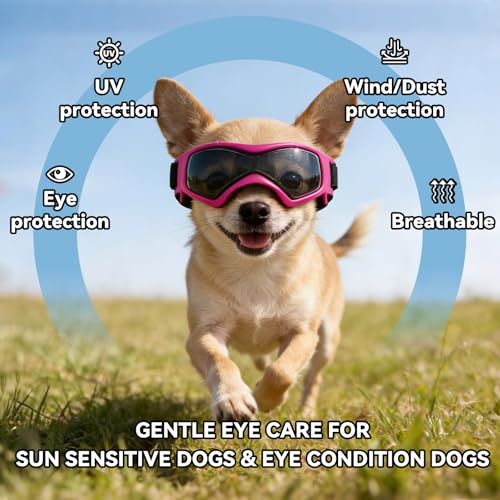 XS Dog Goggles for Extra Small Breed UV (X-Small / Pink)