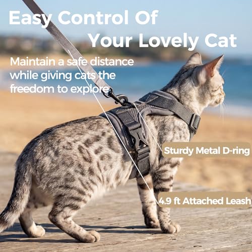 Cat Harness and Leash Set (Grey / XX-Large)