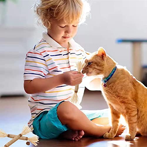 21 Pack Silvervine Cat Chew Sticks (21Pack)