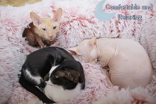 4 Cave Plush XL Cat Tunnel Bed Indoor Cats Peekaboo Toy Mat Pink (Pinkish White)