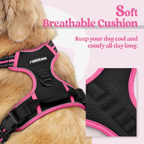 Dog Harness No Pull for Large Dogs with 2 Leash Clips (X-Large / Black & Hot Pink)