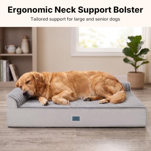 Orthopedic Dog Bed for Senior Dog (Gray / 52"L x 36"W x 7"Th)